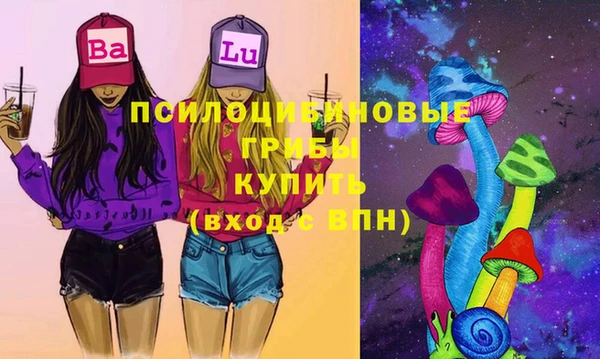 соль ск Бородино