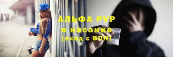стаф Бугульма