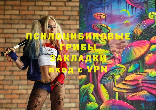 стаф Бугульма