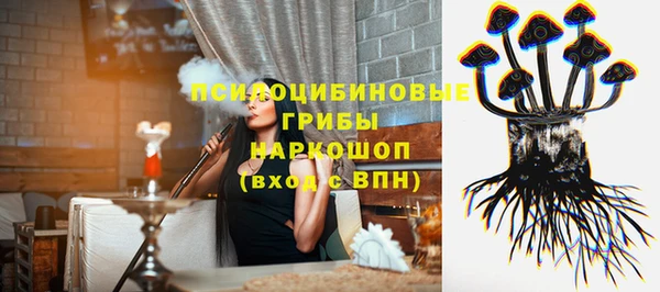 стаф Бугульма