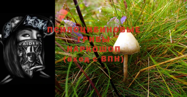 стаф Бугульма